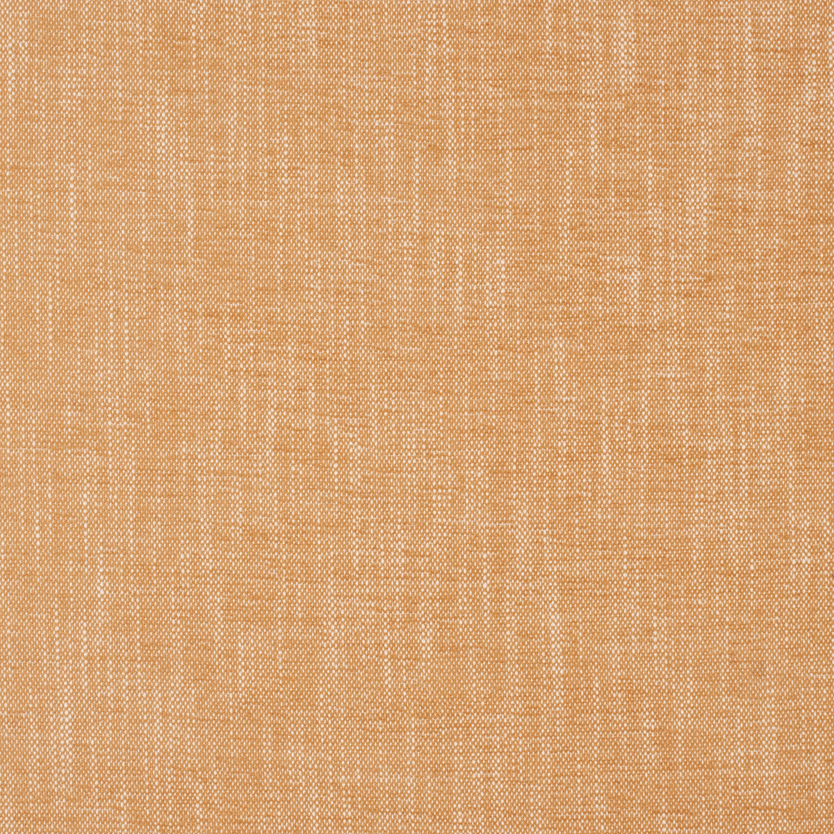 Purchase Mag Fabric SKU# 10490 pattern name Insideout Lolly Camel