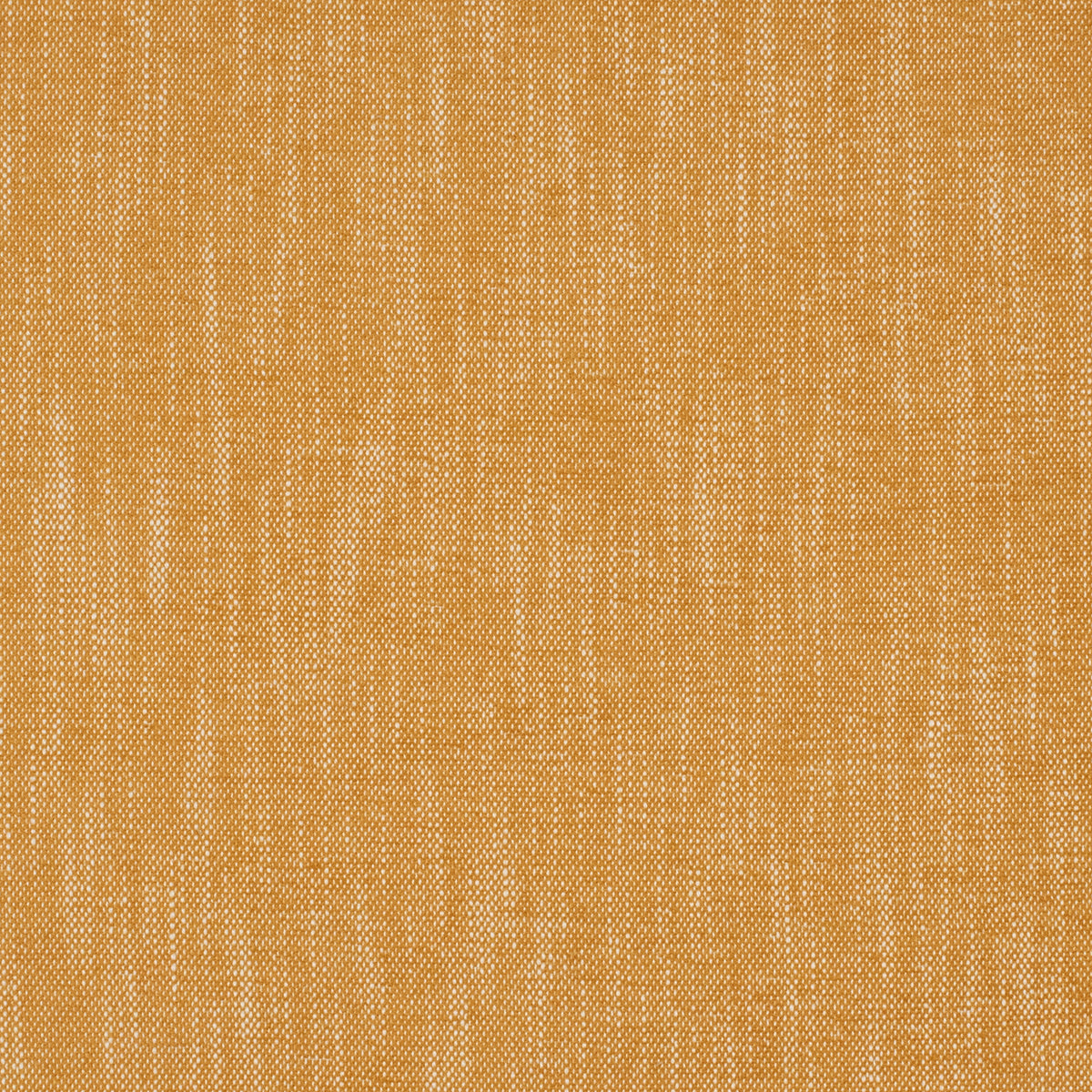 Purchase Mag Fabric SKU 10491 Insideout Lolly Gold Fabric