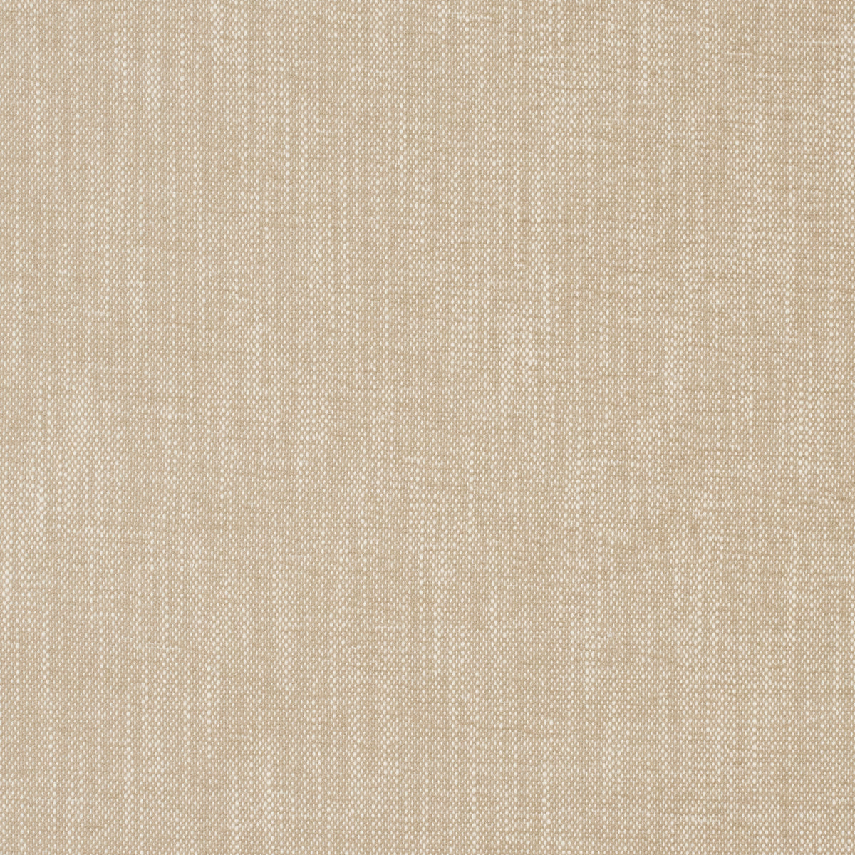 Purchase Mag Fabric Pattern# 10495 pattern name Insideout Lolly Oyster