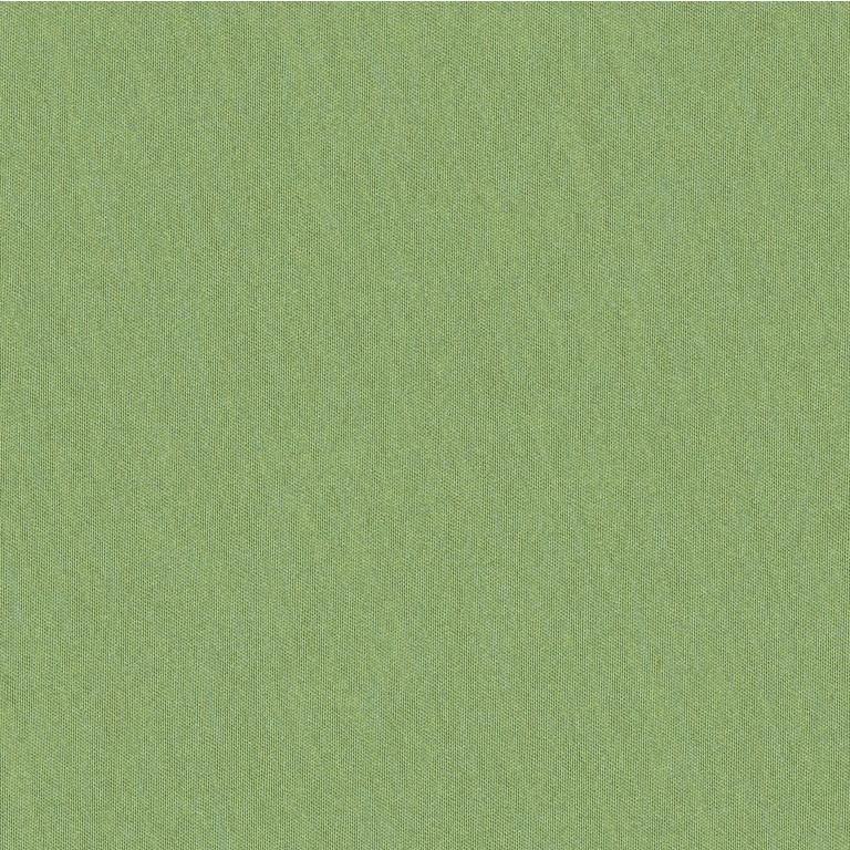 Sample JAG-50020-3003 Shots Tarragon Solid Brunschwig and Fils Fabric