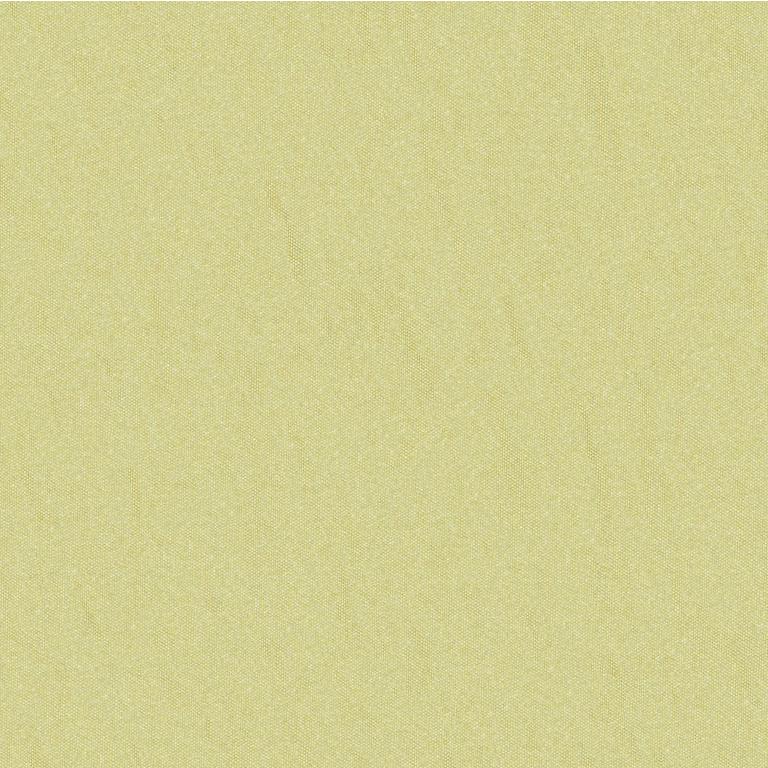 Find JAG-50020-3030 Shots Spanish Moss Solid by Brunschwig & Fils Fabric