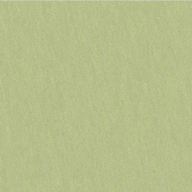 Sample JAG-50020-3400 Shots Marjoram Solid Brunschwig and Fils Fabric