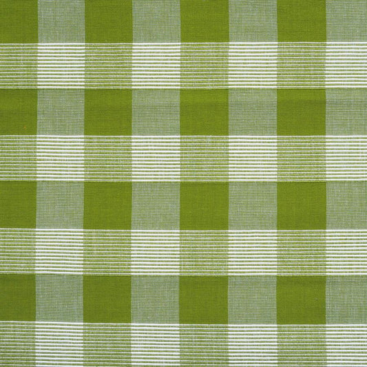 Acquire JAG-50061.231.0 Siam Sq Cotton Green Check/Plaid by Brunschwig & Fils Fabric