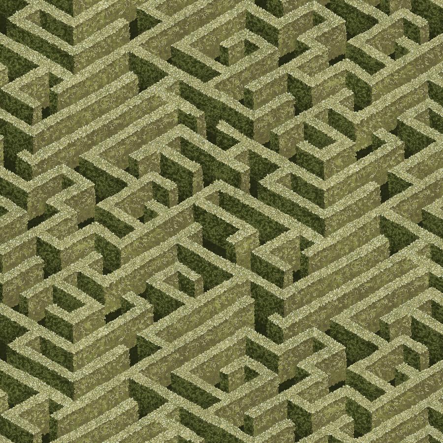 Sample - JMW1007.01.0 Labyrinth, 1 by Kravet Couture Wallpaper
