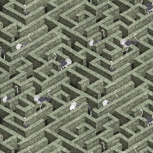 JMW1010.01.0 Labyrinth With Ostriches