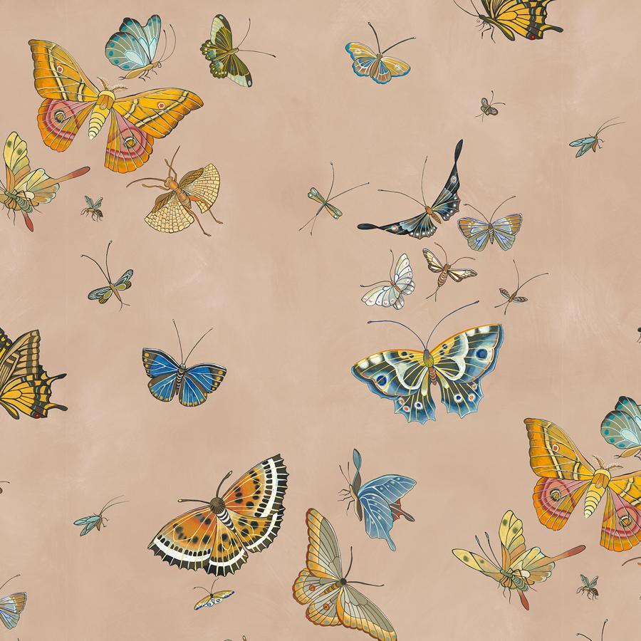 Purchase Jmw1043-01 Butterflies, Pink Insects - Kravet Couture Wallpaper - Jmw1043.01.0
