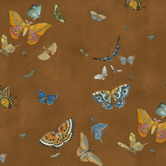 Purchase Jmw1043-11 Butterflies, Brown Insects - Kravet Couture Wallpaper - Jmw1043.11.0