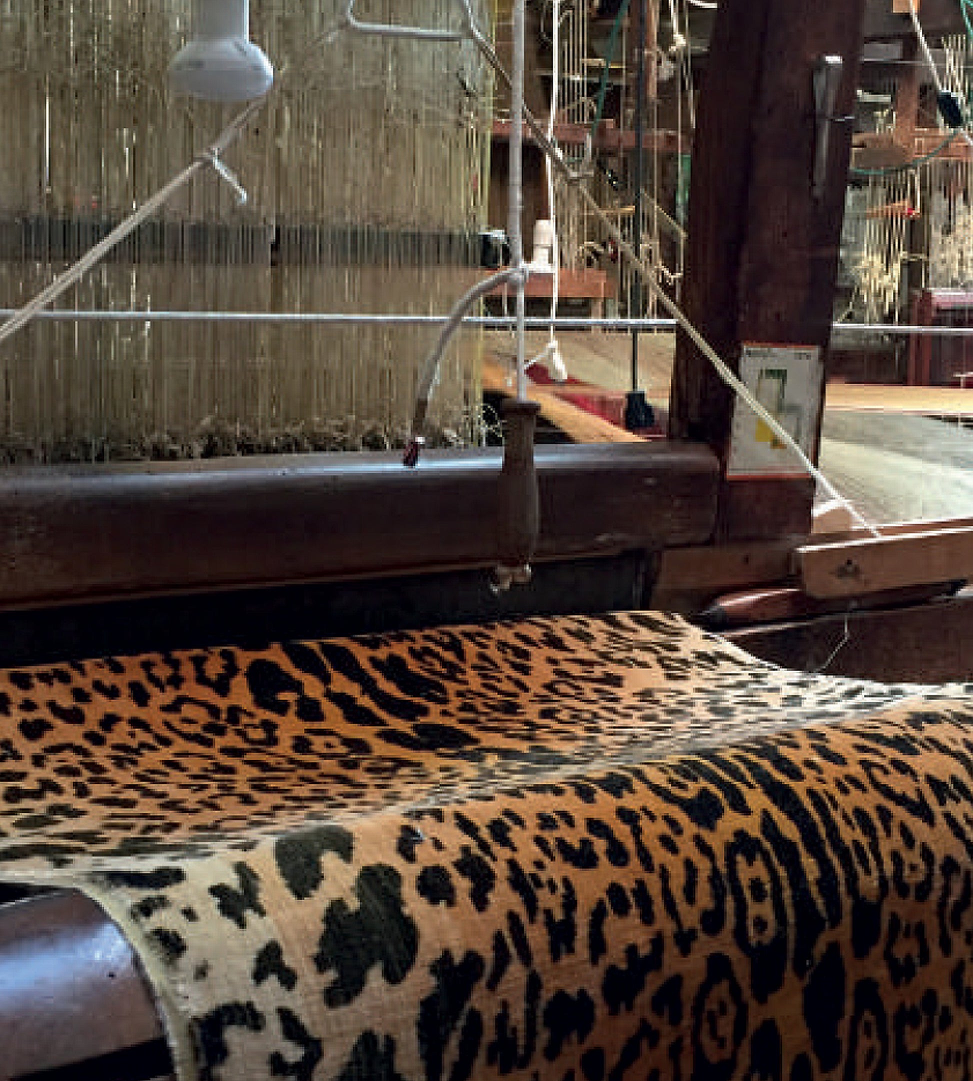 Purchase Old World Weavers Fabric Product K0 00013352, Leopard - Silk - Handwoven Black On Gold 3