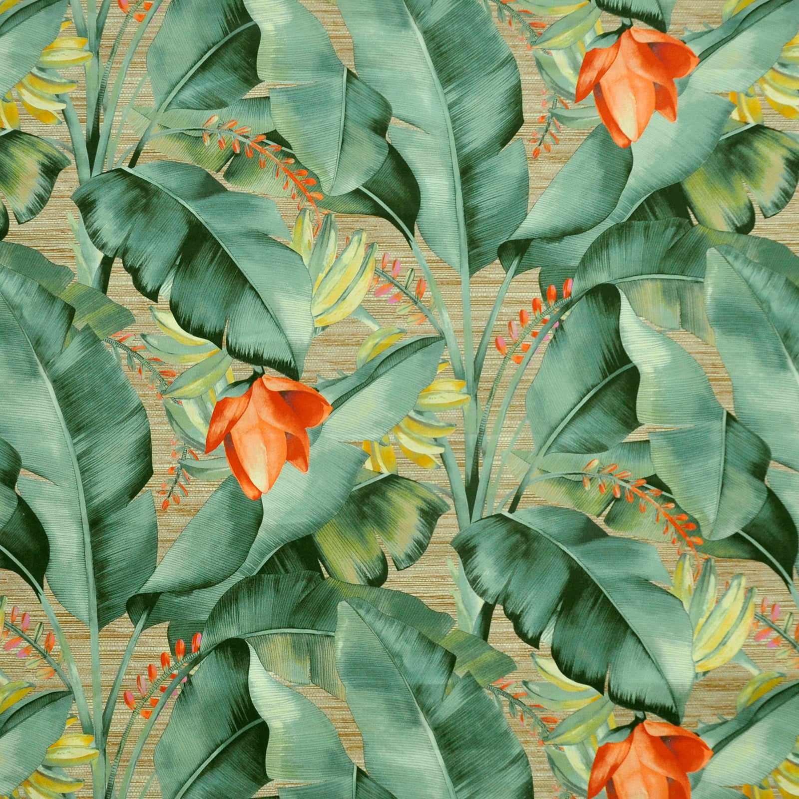 Purchase Maxwell Fabric - Kona, # 514 Palm