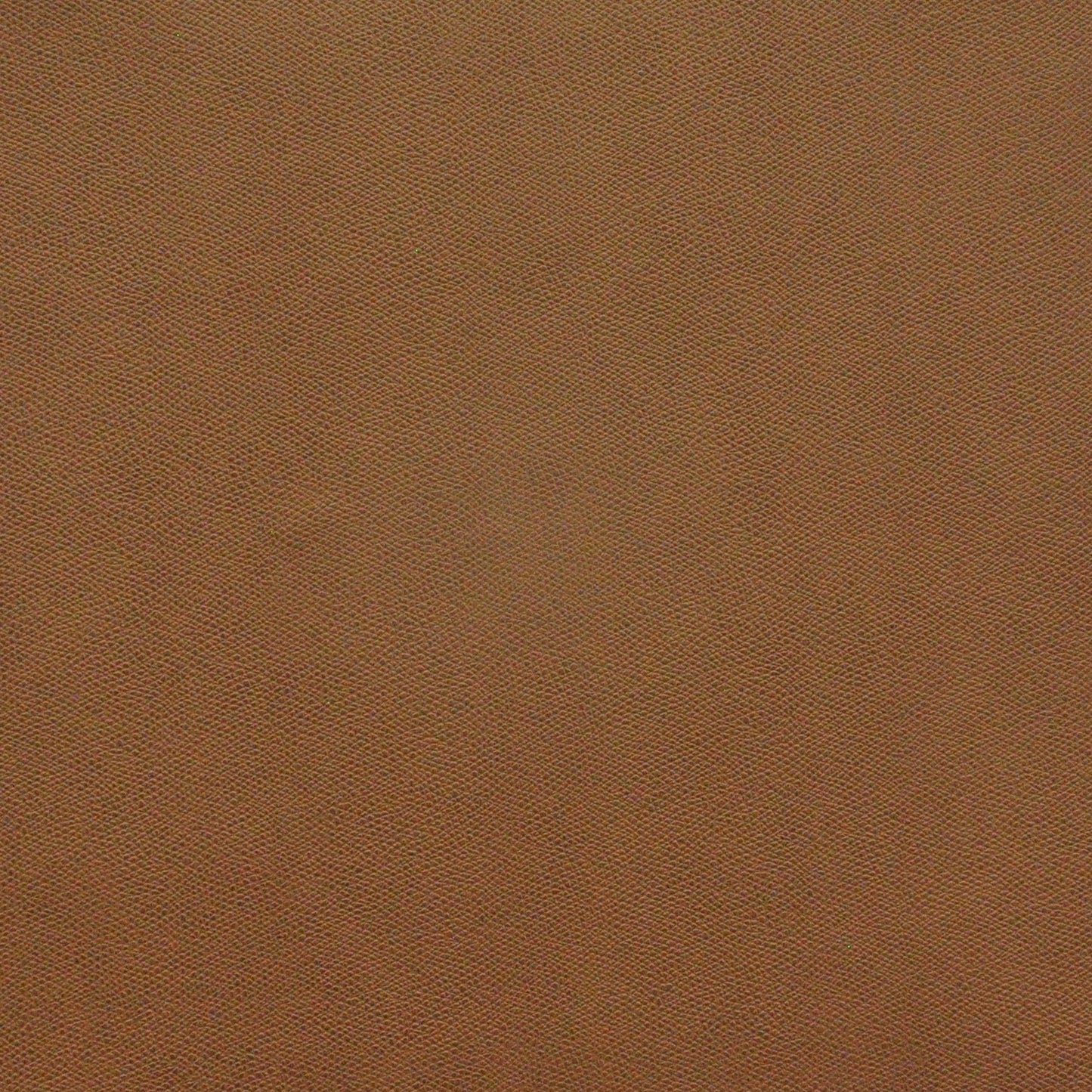 Komodo | # 715 Sparrow - Maxwell Fabric