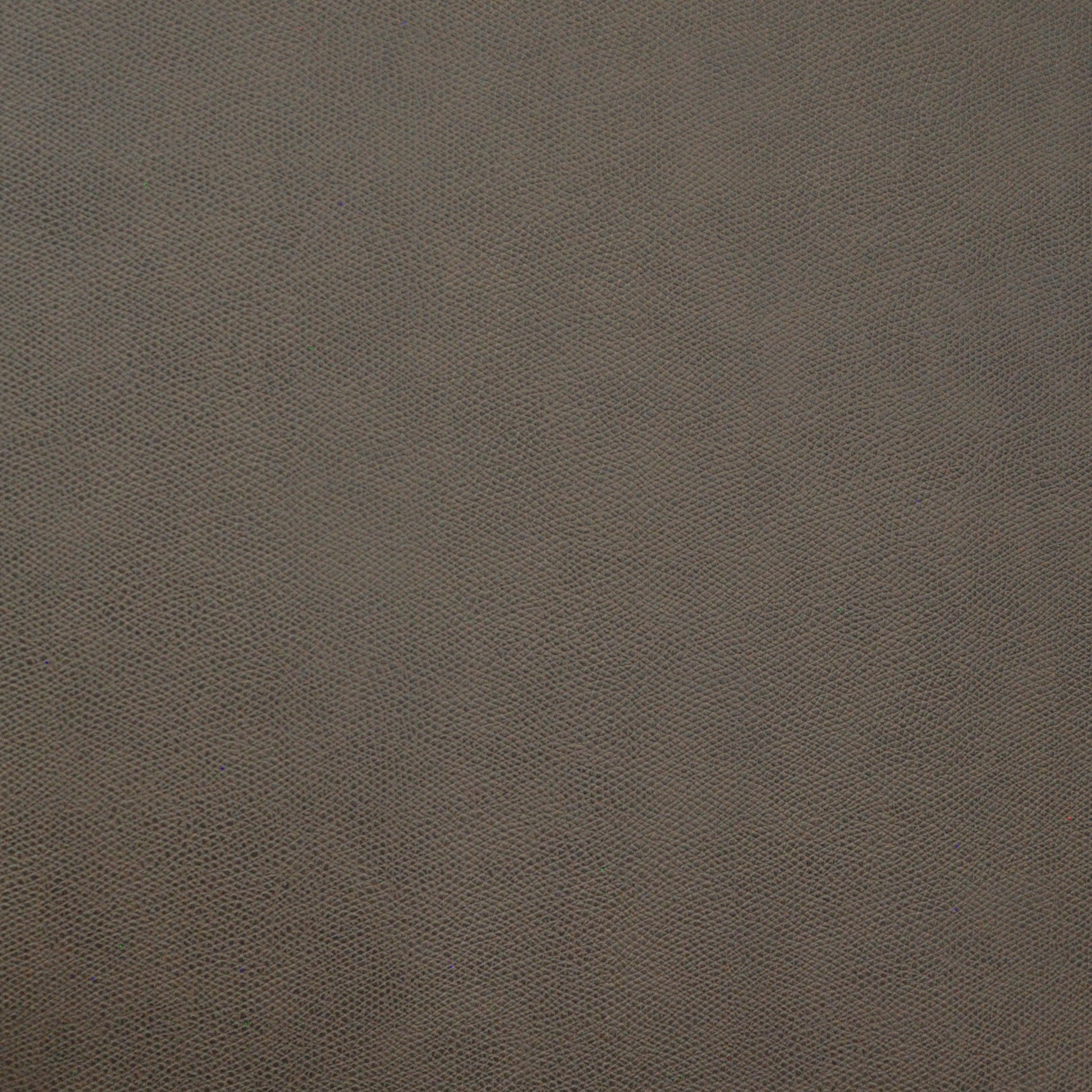 Purchase Maxwell Fabric - Komodo, # 775 Peat