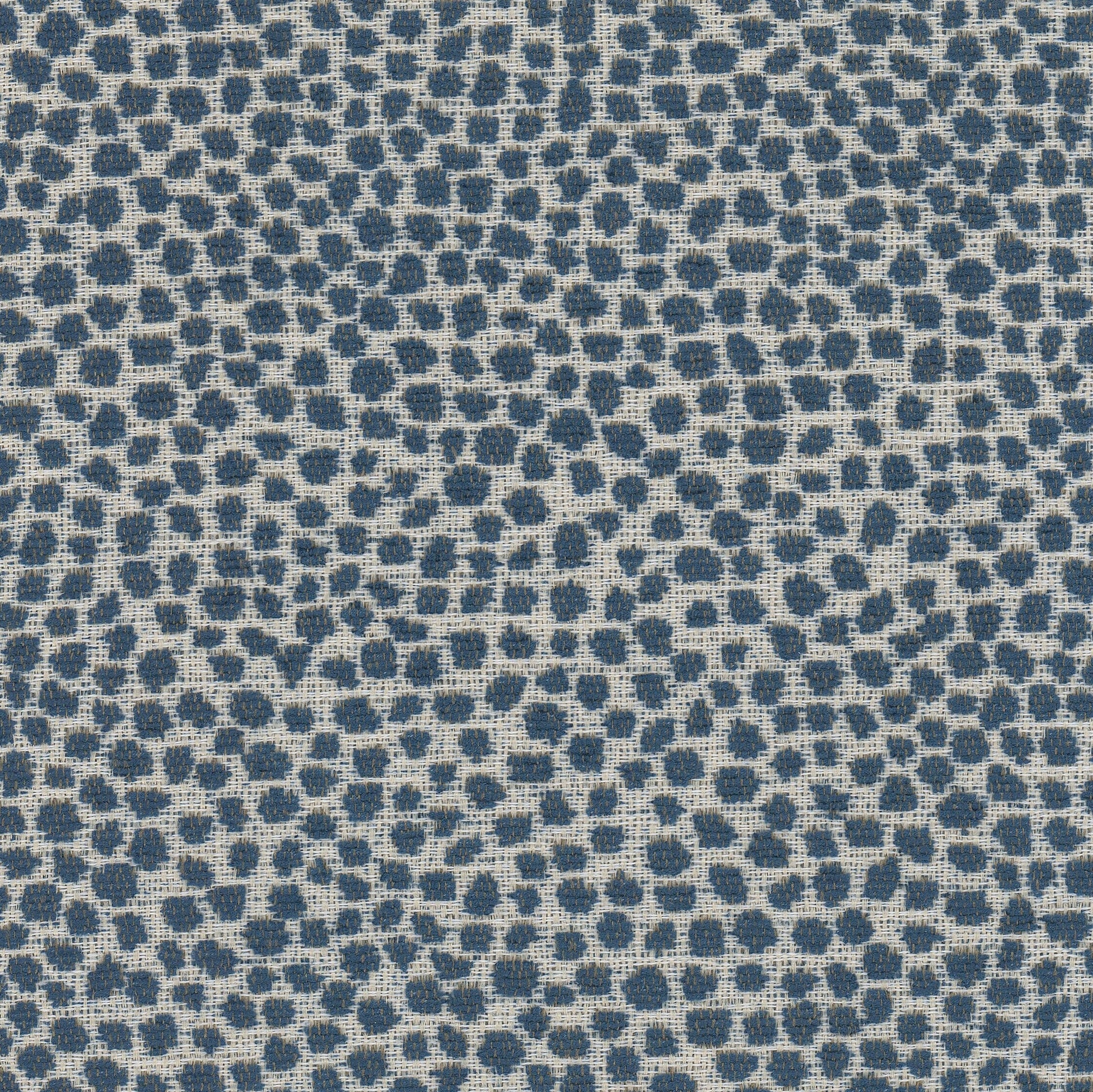 Purchase Stout Fabric Pattern number Lollypop 1 Navy