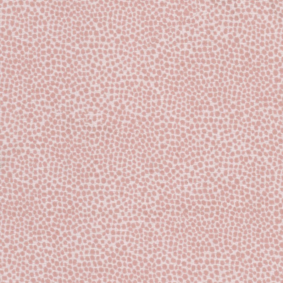 Purchase Stout Fabric Pattern Lollypop 4 Powder