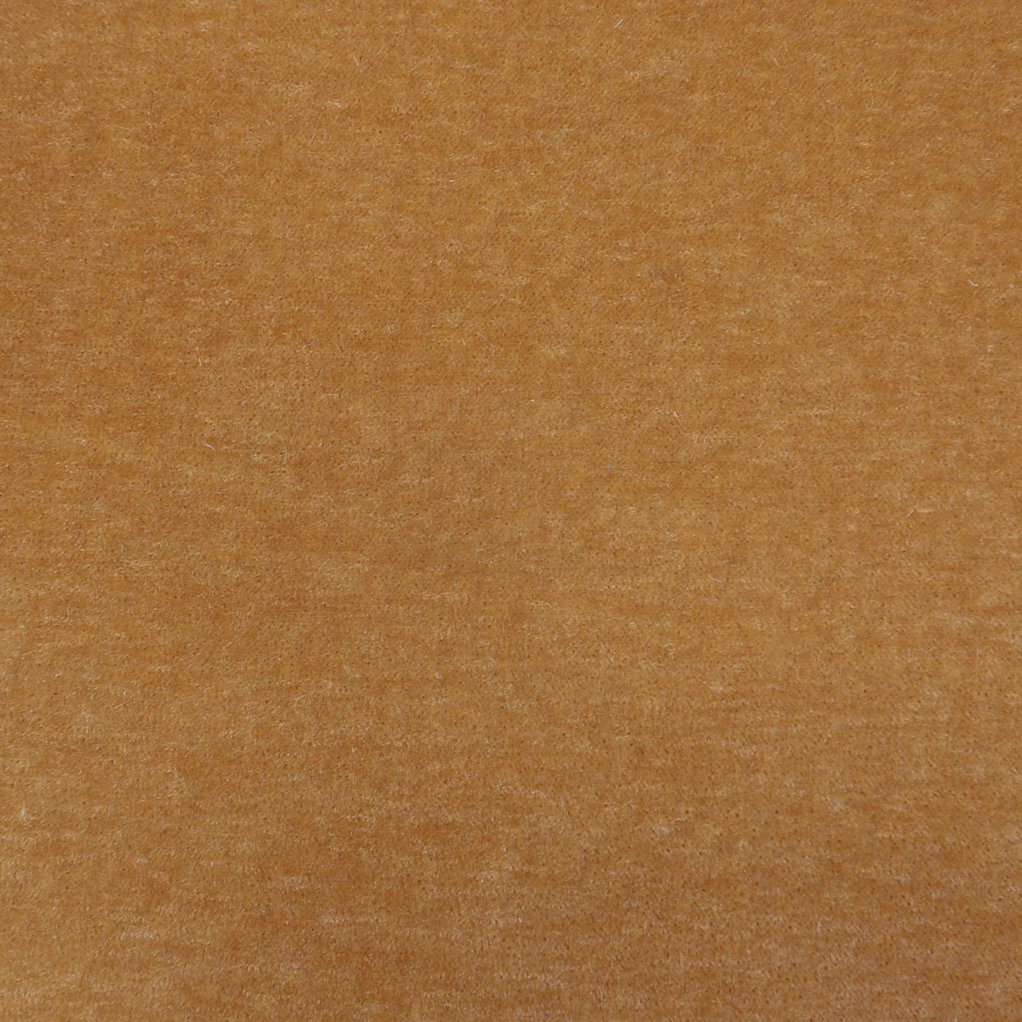 Lemaire | # 403 Camel - Maxwell Fabric