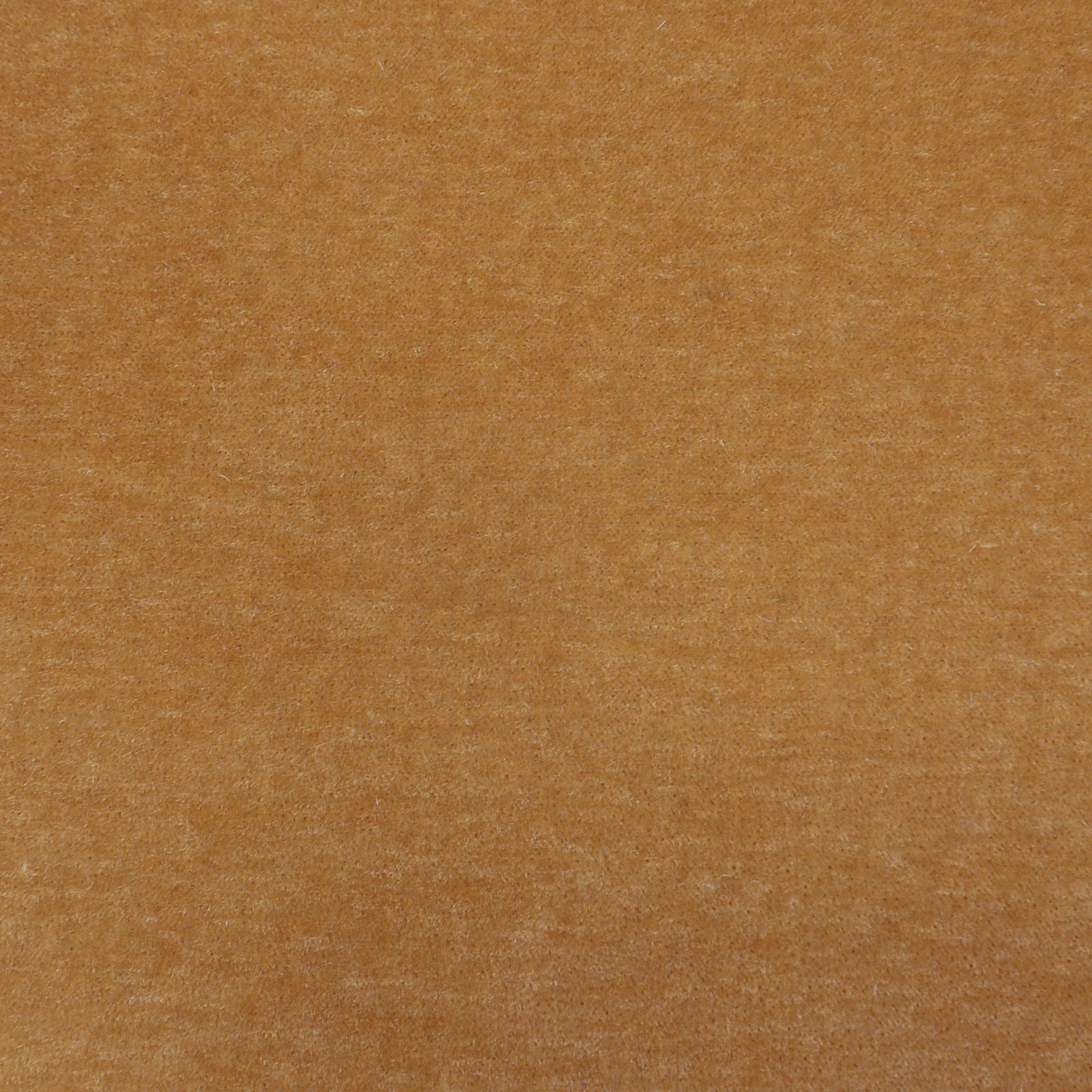 Purchase Maxwell Fabric - Lemaire, # 403 Camel