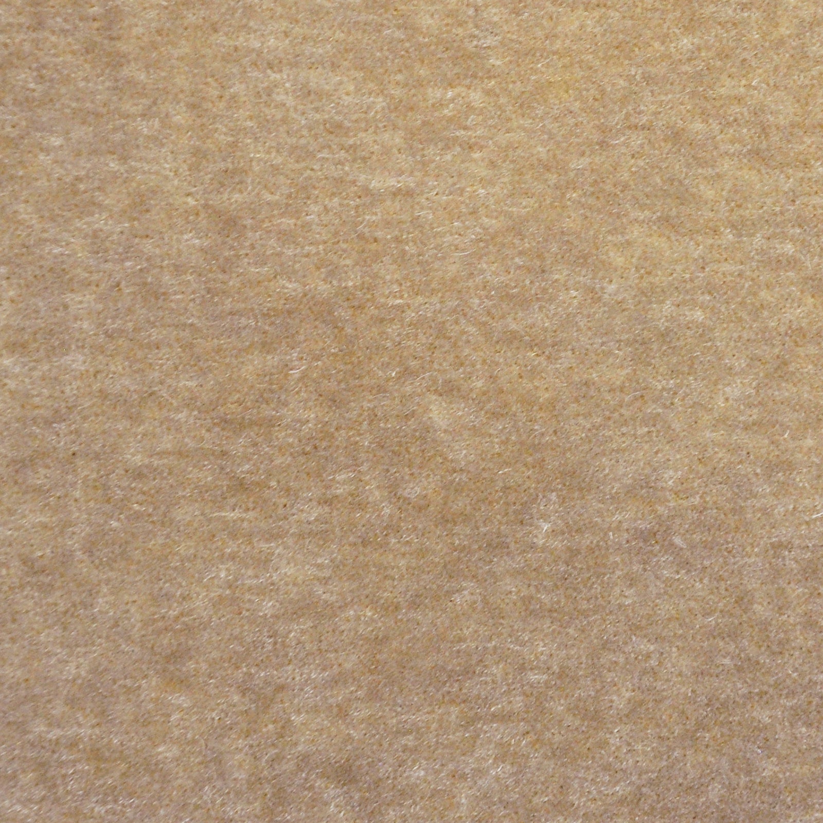 Purchase Maxwell Fabric - Lemaire, # 404 Mink