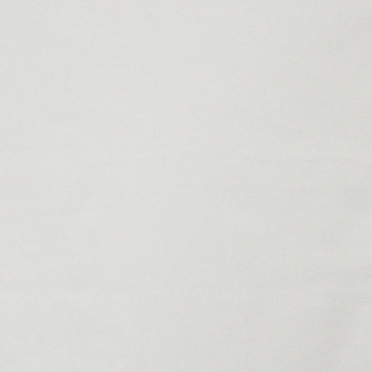 Laertes | # 638 Snow - Maxwell Fabric