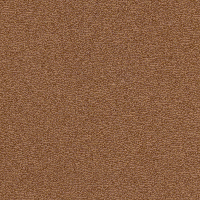 Purchase Maxwell Fabric - Levant-Nj, # 1175 Cinnamon