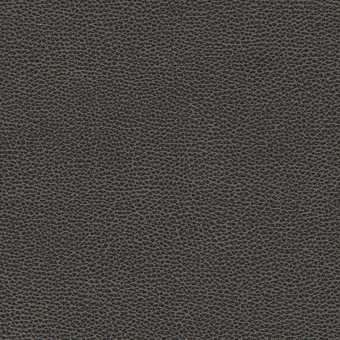 Purchase Maxwell Fabric - Levant-Nj, # 1176 Graphite