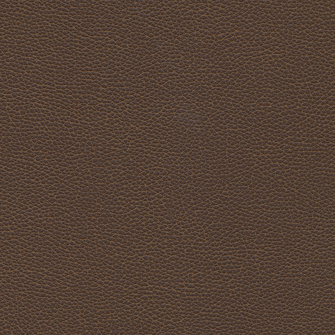 Purchase Maxwell Fabric - Levant-Nj, # 1181 Mocha
