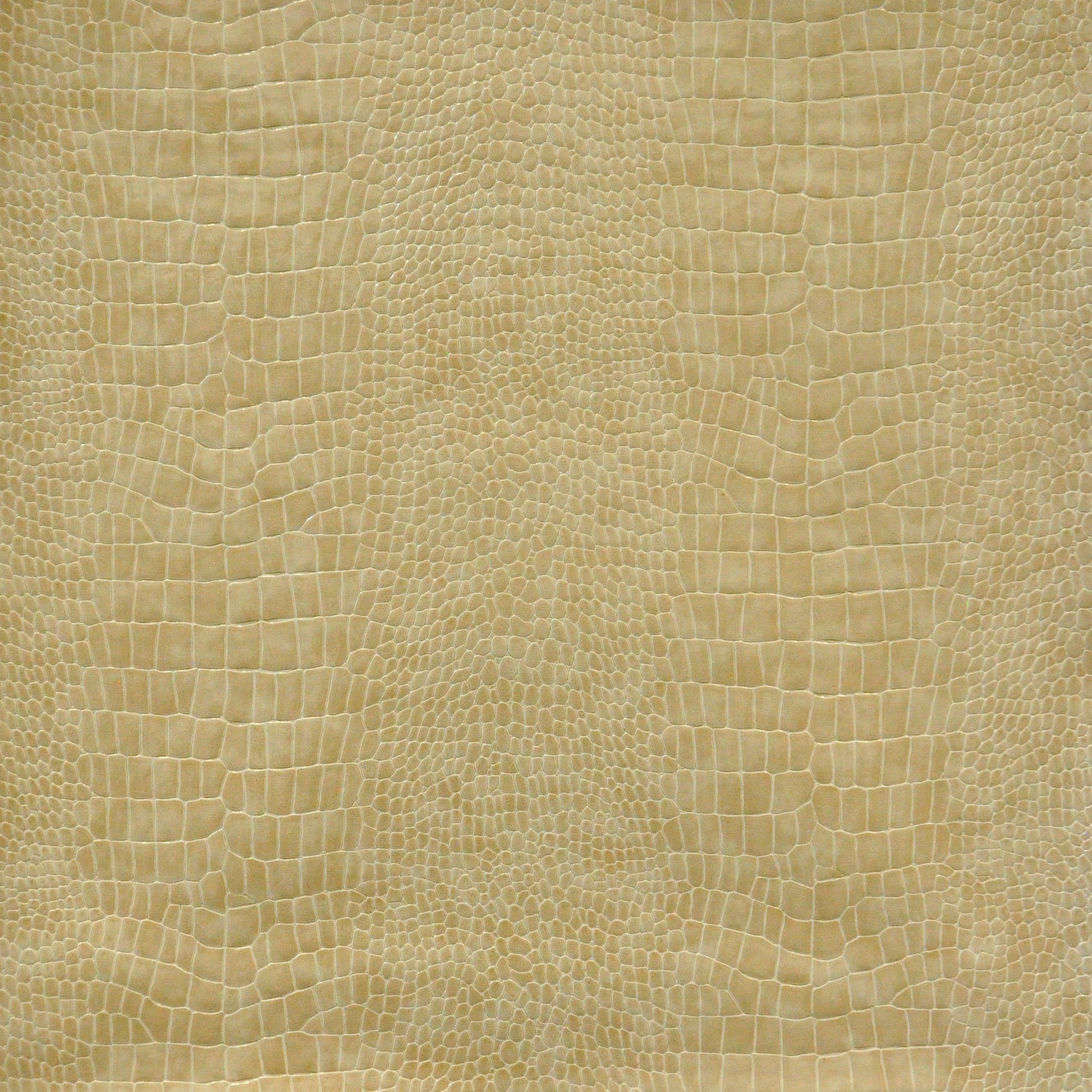 Purchase Maxwell Fabric - Lizzie, # 758 Cashew