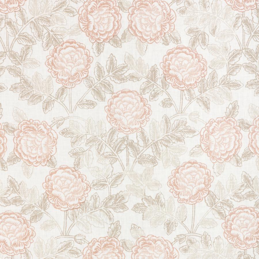 Purchase Lyla.716.0 Lyla, Shell/Sandpiper - Kravet Couture Fabric