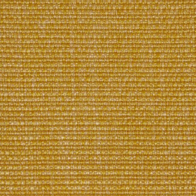 Sample - Lz-30346.05.0 | Camelia, Lizzo Indoor/Outdoor - Kravet Design Fabric