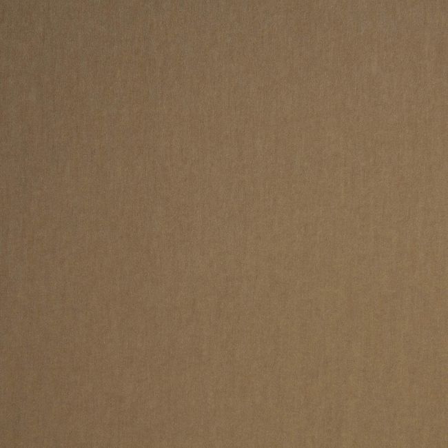 Sample - Lz-30379.12.0 | Livorno, Lizzo - Kravet Design Fabric