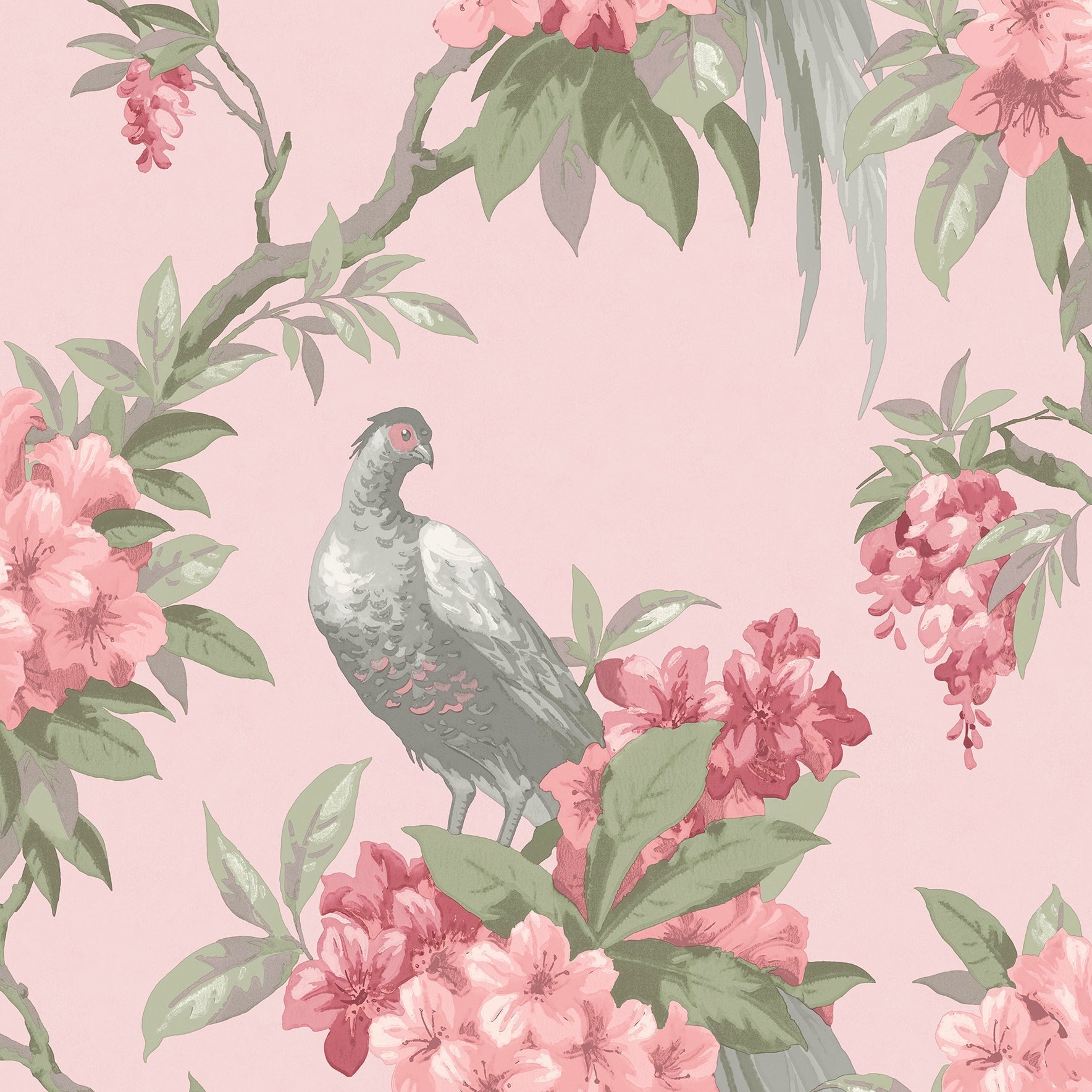 Purchase M1665 Archive Collection, Golden Pheasant Pink Floral Wallpaper by Brewster