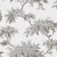 Purchase M1671 Archive Collection, Ashdown Grey Tree Wallpaper by Brewster
