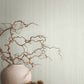 Purchase Ma35836 | Opulent Accents, Indra Sage Striated - Antonina Vella Wallpaper