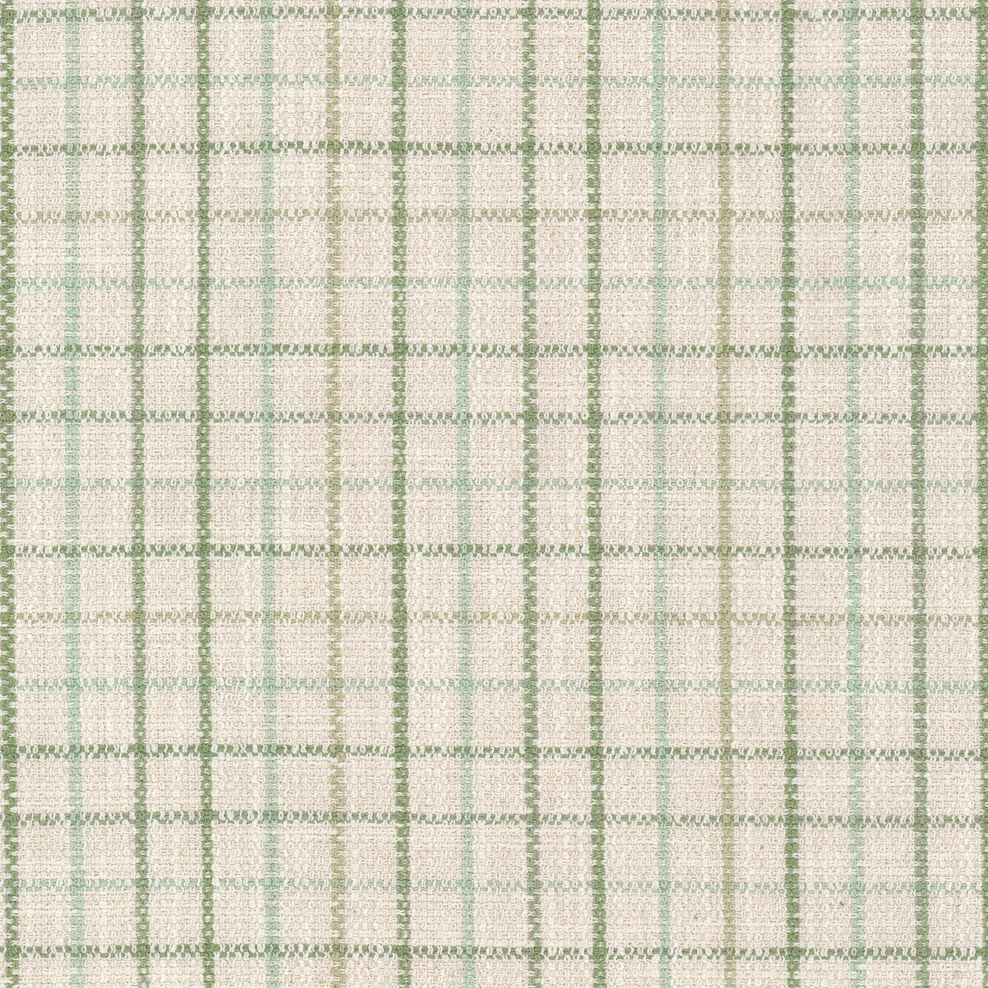 Purchase Stout Fabric Pattern# Maximus 3 Aloe
