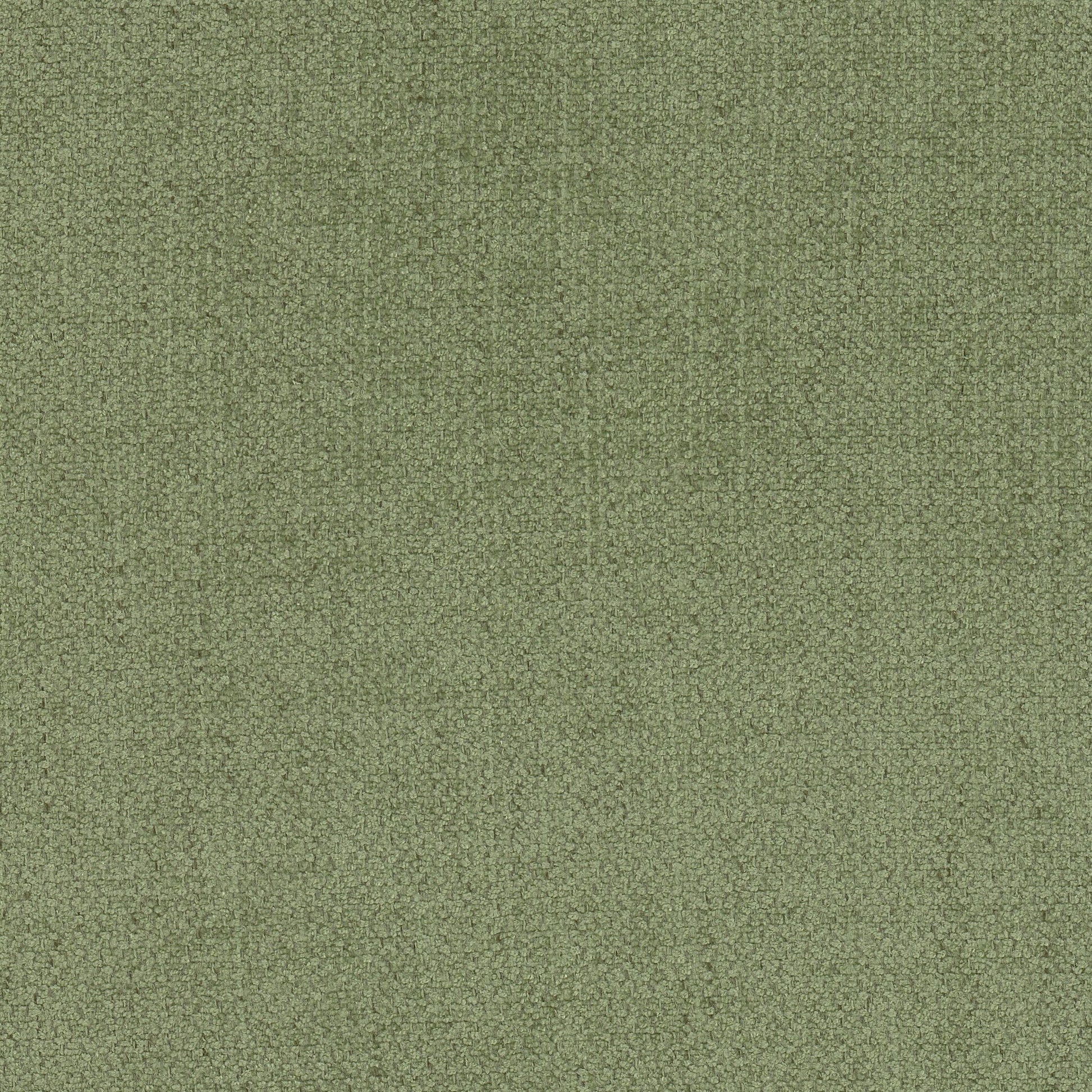 Purchase Stout Fabric SKU# Menagerie 1 Moss