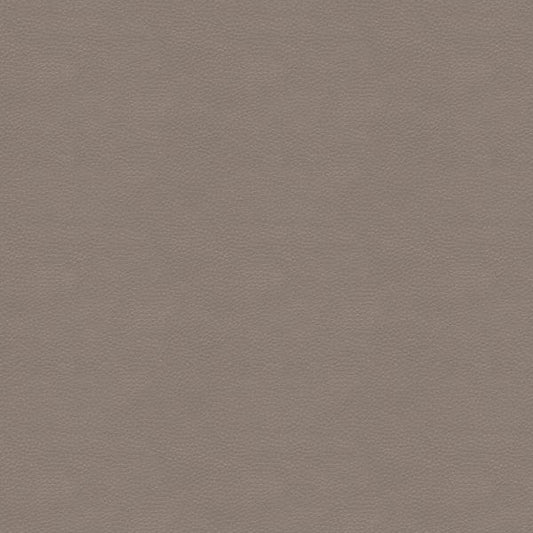 Purchase Metaliskin.11.0 Metaliskin,  - Kravet Couture Fabric