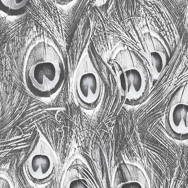 Purchase Mh36518 | Manor House, Black Novelty - Norwall Wallpaper