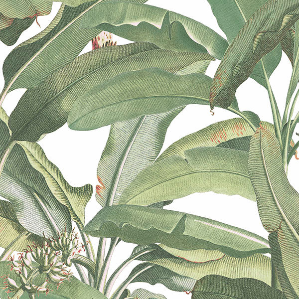 Purchase Mh36534 | Manor House, Green Botanical - Norwall Wallpaper
