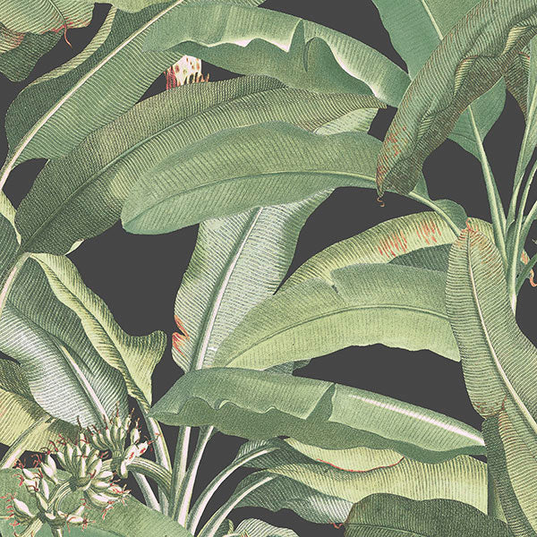 Purchase Mh36535 | Manor House, Green Botanical - Norwall Wallpaper