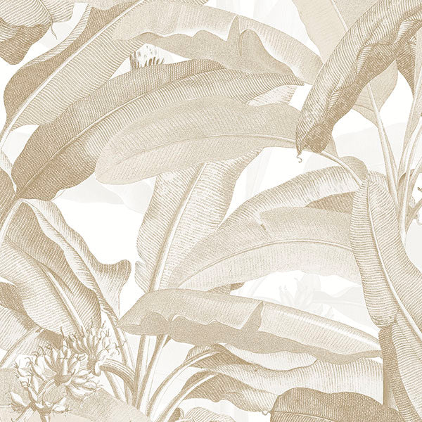 Purchase Mh36536 | Manor House, Beige Botanical - Norwall Wallpaper