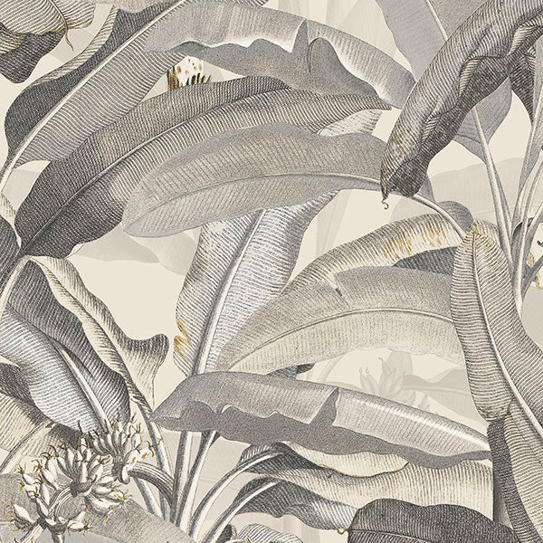 Purchase Mh36538 | Manor House, Grey Botanical - Norwall Wallpaper