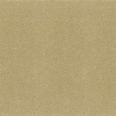 Sample - Moccasin.161.0 | Kravet Design,  - Kravet Design Fabric
