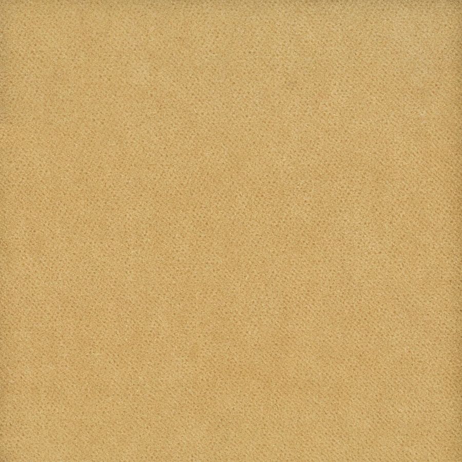 Purchase Stout Fabric SKU Moore 5 Champagne