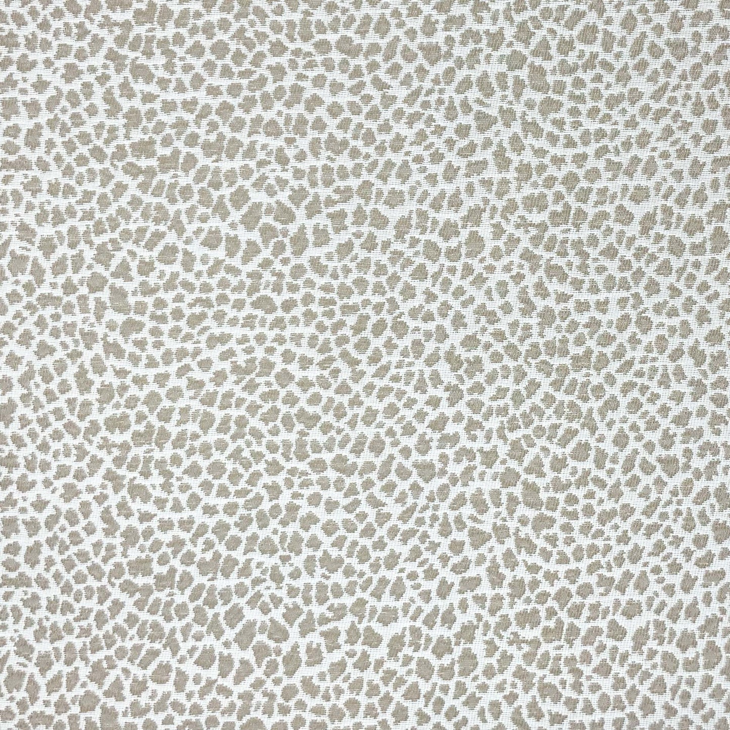 Purchase JF Fabric - Moxie 35J9411