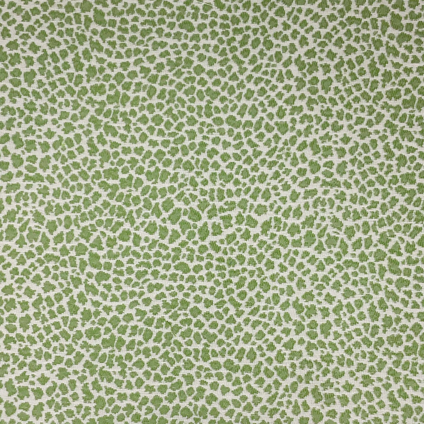 Purchase JF Fabric - Moxie 74J9411