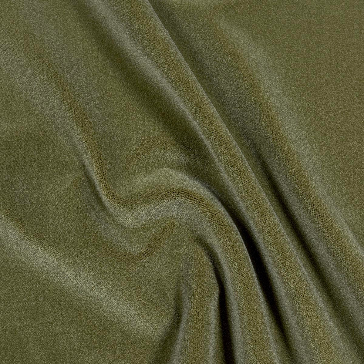 Purchase Mag Fabric Product 12281 pattern name Moyra Fern