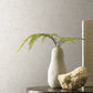 Purchase Mt5664 | Montecito, Trabadillo Plaster Fog - York Wallpaper