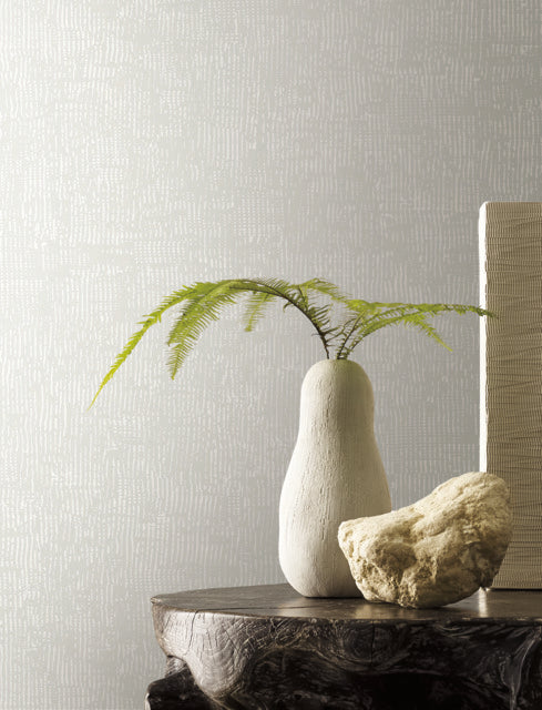 Purchase Mt5666 | Montecito, Trabadillo Plaster Salt - York Wallpaper