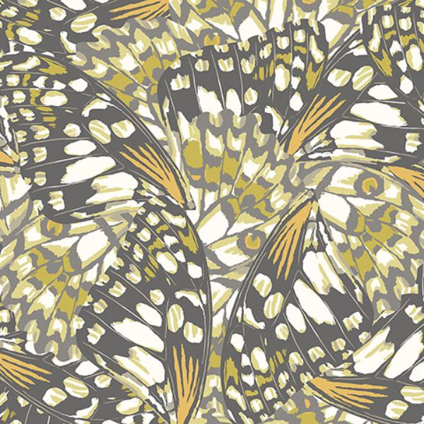 Purchase MUR359M Brewster Wallpaper, Butterfly Wings - Origin Murals