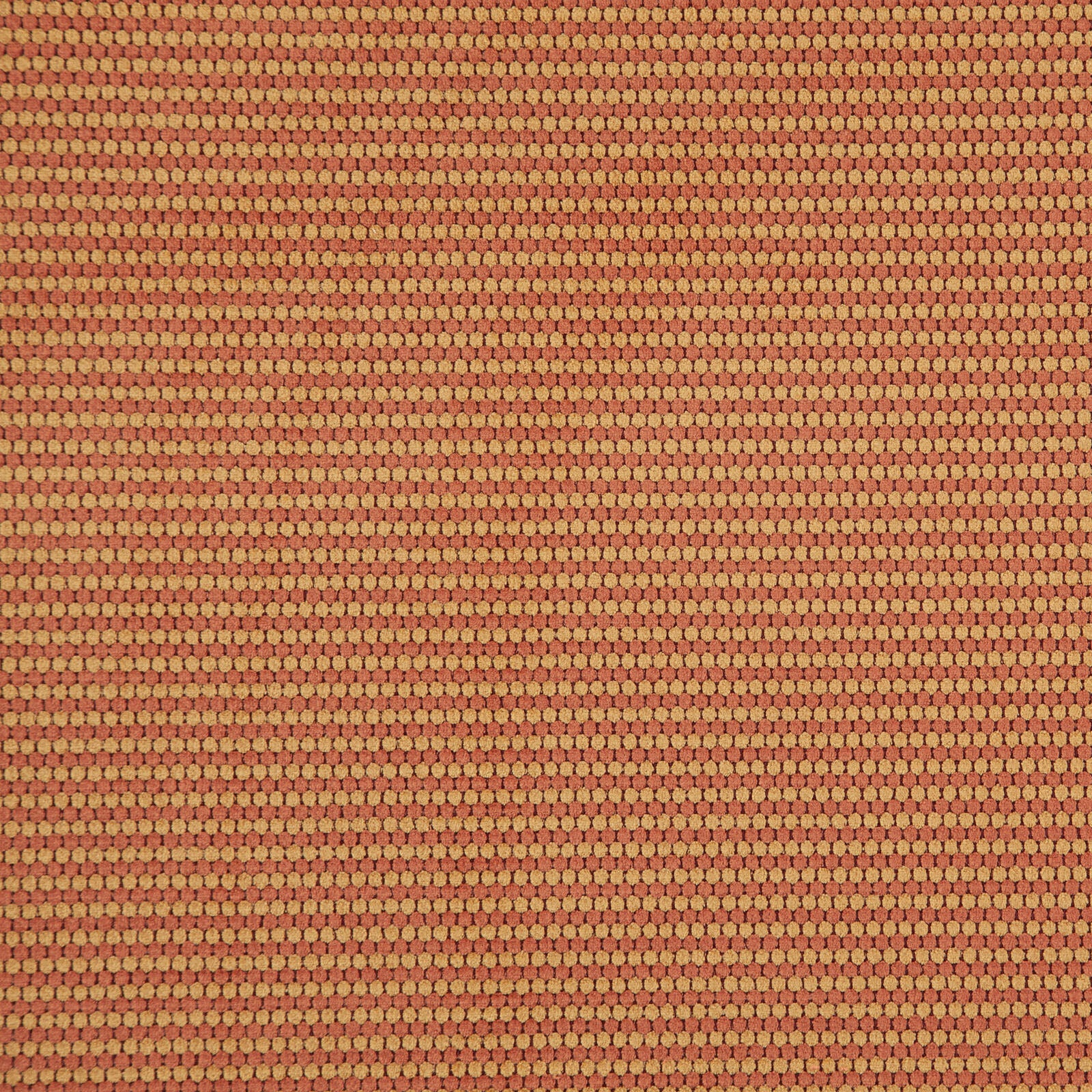 Purchase Maxwell Fabric - Macaw, # 503 Sienna