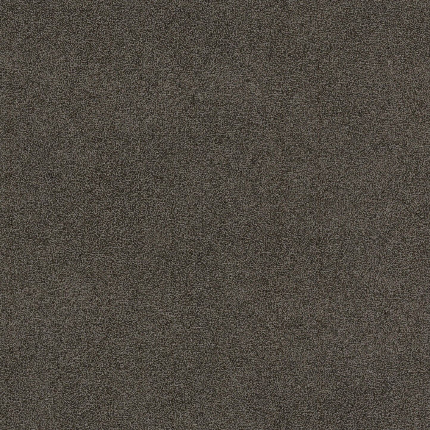 Purchase Stout Fabric Product# Narcissus 1 Shadow