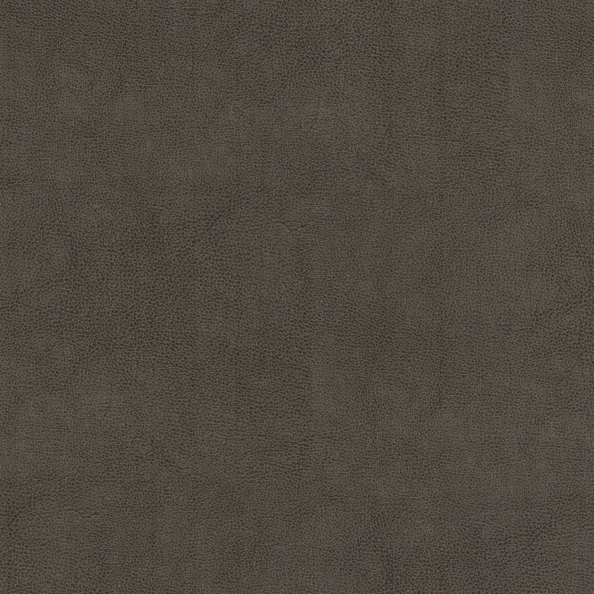 Purchase Stout Fabric Product# Narcissus 1 Shadow